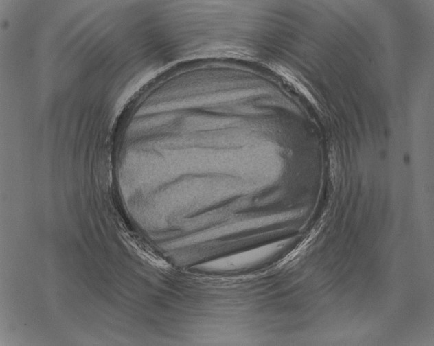 X0000067841069200605111637