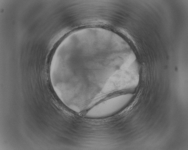 X0000067841071200605111637