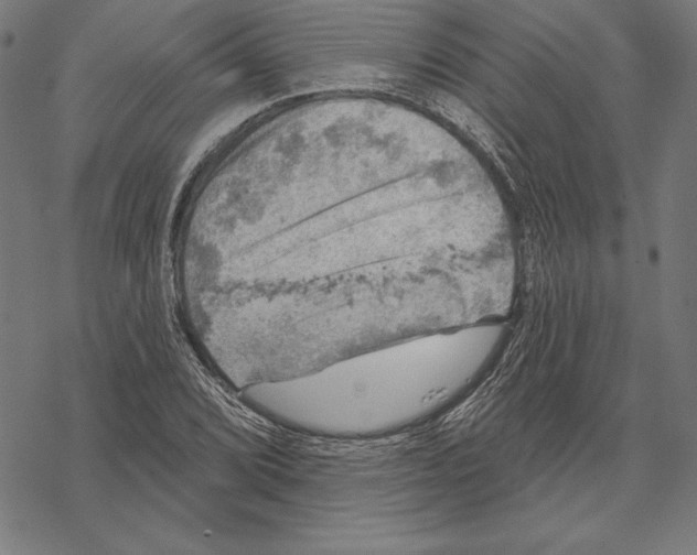 X0000067841072200605111636