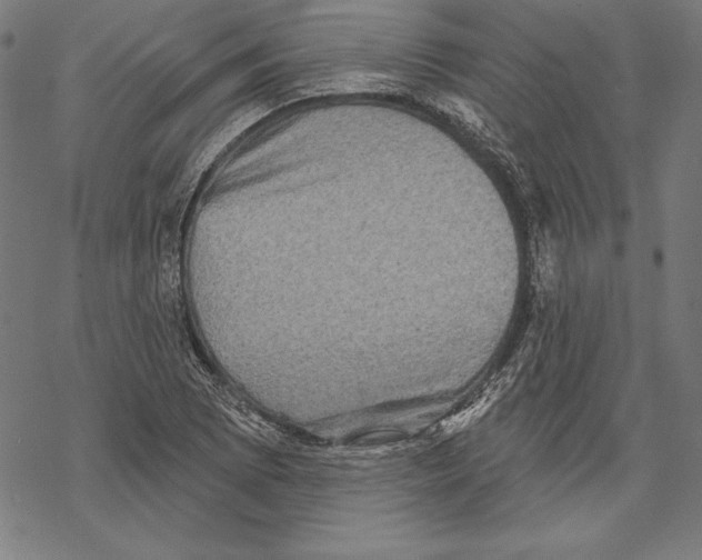 X0000067841073200605111636