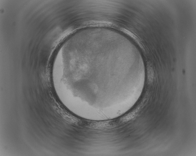 X0000067841074200605111636