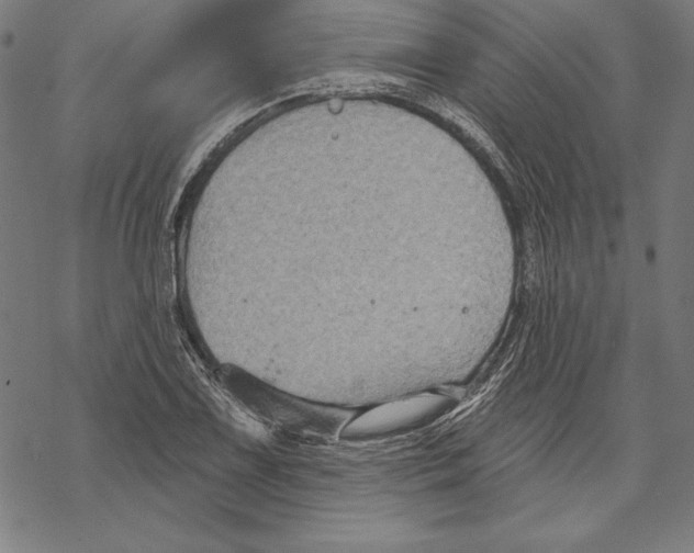 X0000067841075200605111636