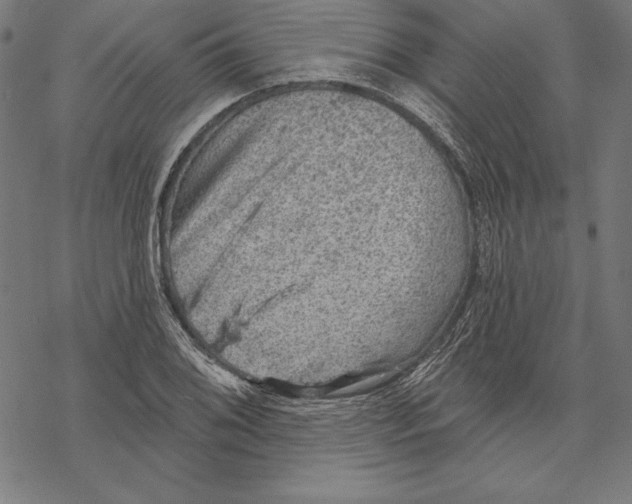 X0000067841076200605111636