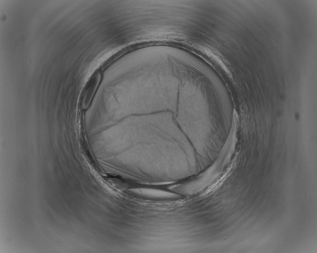 X0000067841077200605111636