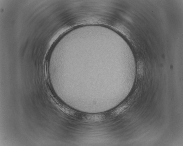 X0000067841078200605111636