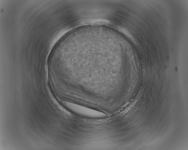 X0000067841079200605111636