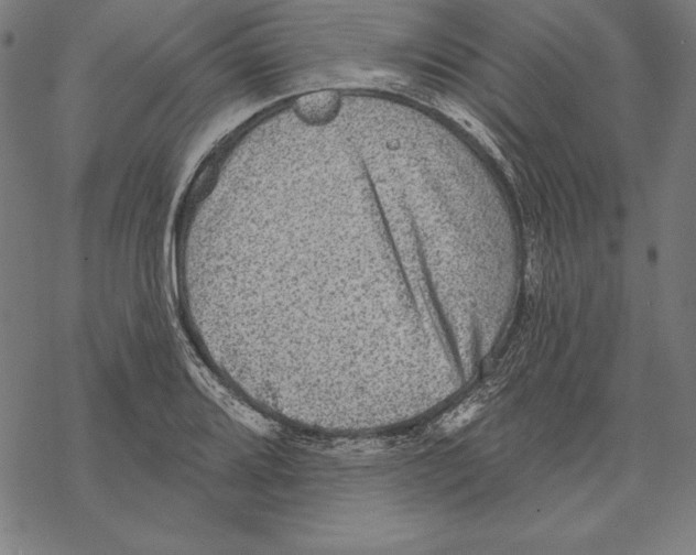 X0000067841080200605111636