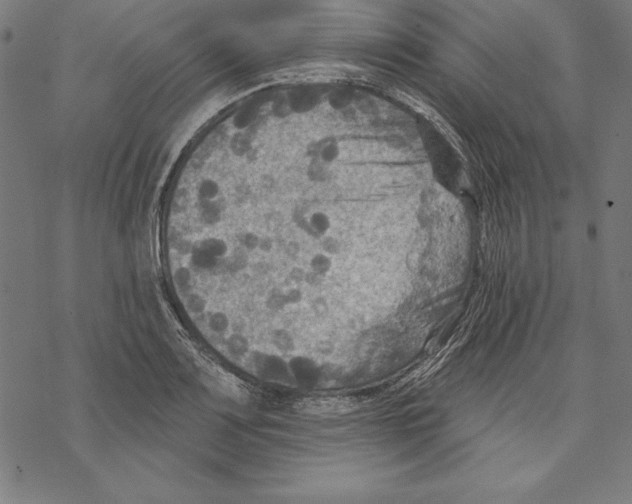 X0000067841083200605111636