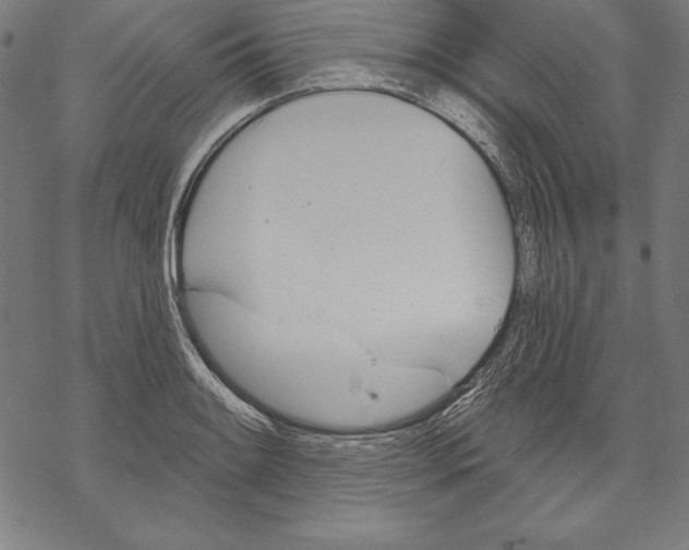 X0000067841084200605111636