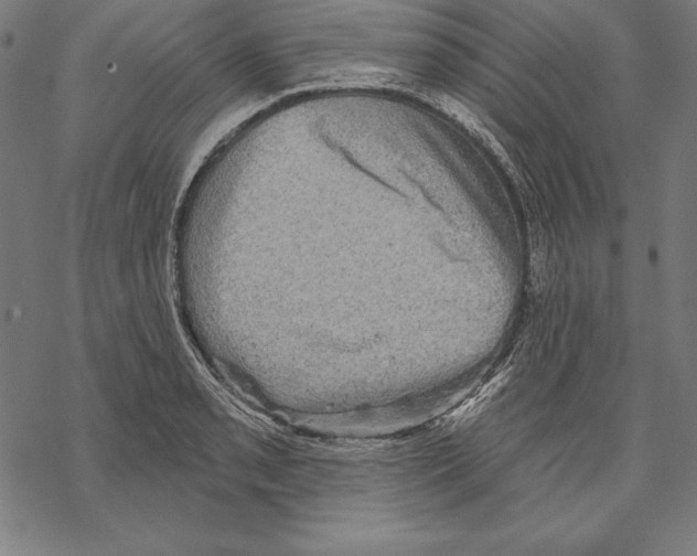 X0000067841085200605111636