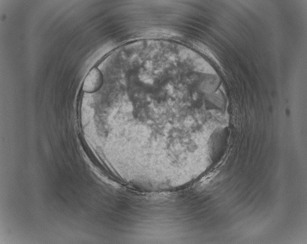 X0000067841087200605111636