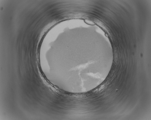 X0000067841088200605111636