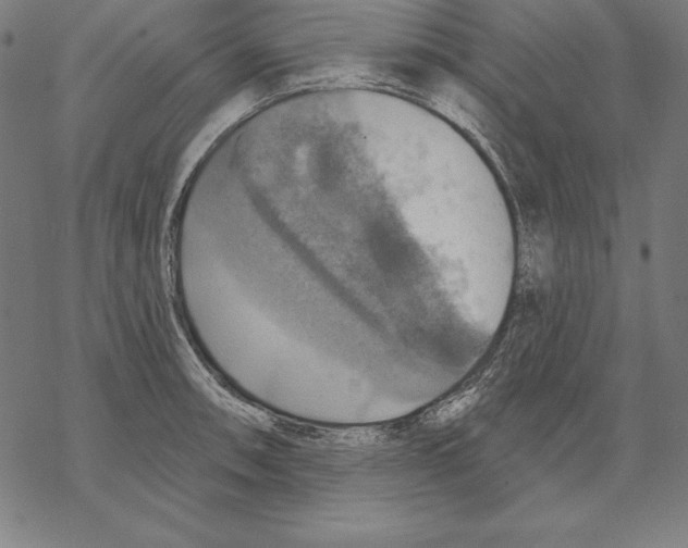 X0000067841090200605111636