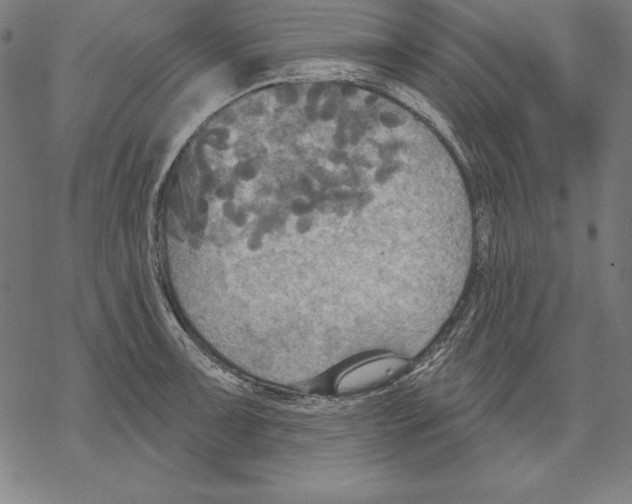 X0000067841091200605111636