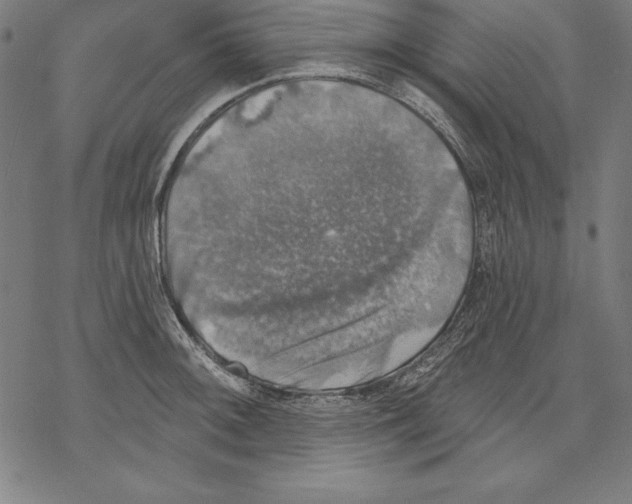 X0000067841092200605111636