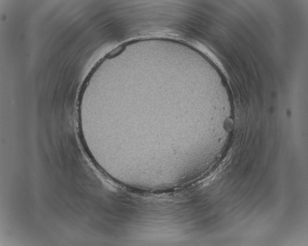 X0000067841093200605111636