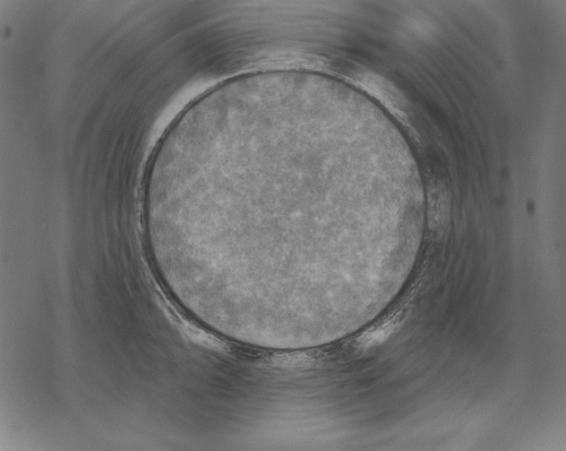 X0000067841094200605111636