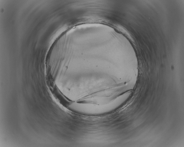 X0000067841095200605111636