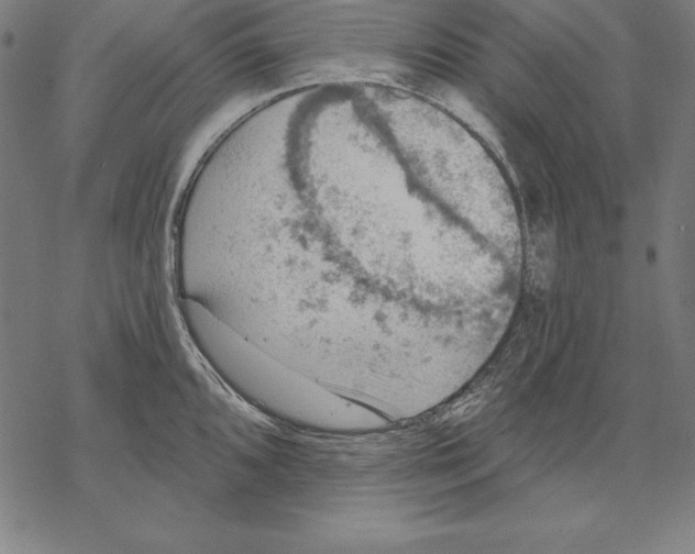 X0000067841096200605111636