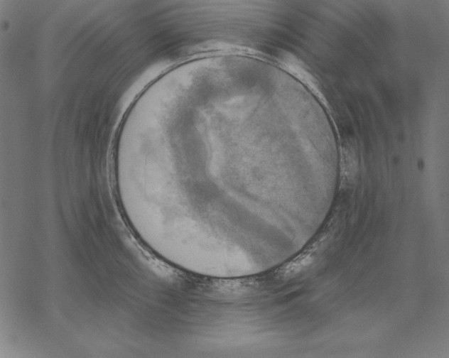 X0000067841098200605111636