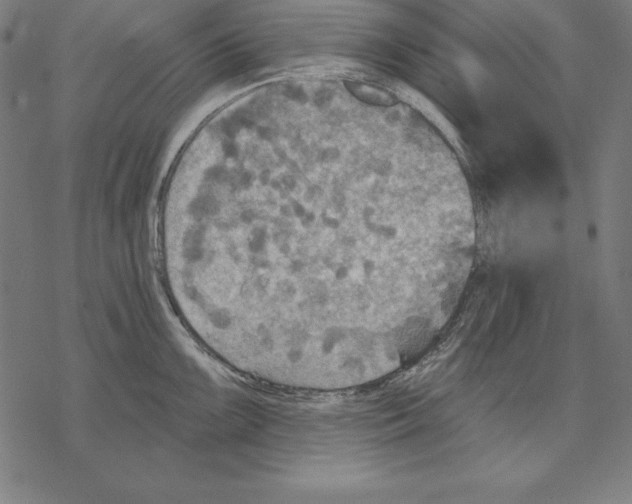 X0000067841099200605111636