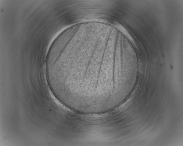 X0000067841100200605111636