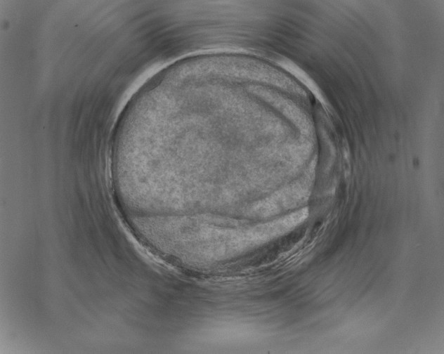 X0000067841101200605111636