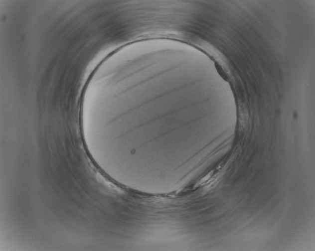 X0000067841102200605111636