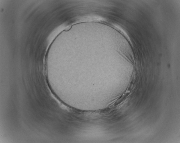 X0000067841103200605111636