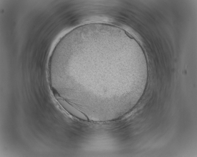 X0000067841104200605111636