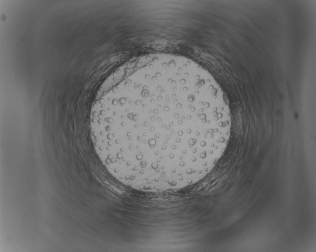 X0000067841105200605111635