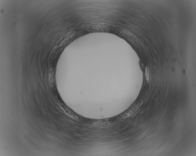 X0000067841107200605111635