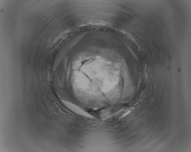 X0000067841110200605111635