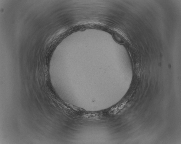 X0000067841111200605111635