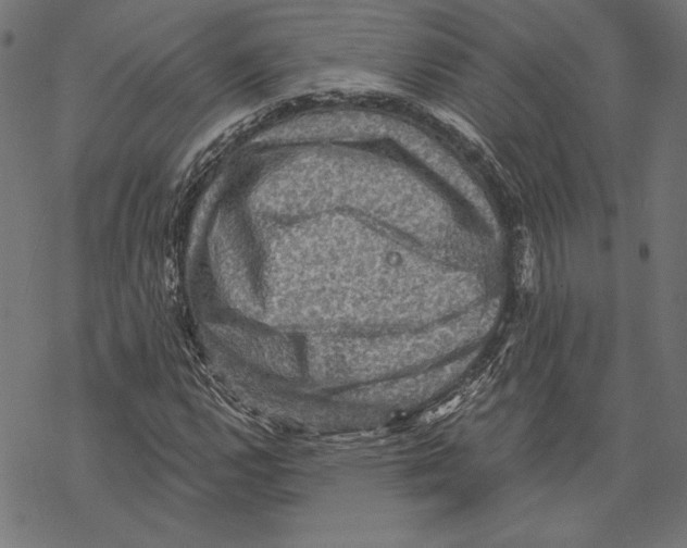 X0000067841112200605111635