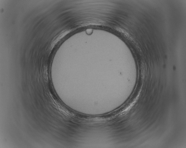 X0000067841113200605111635