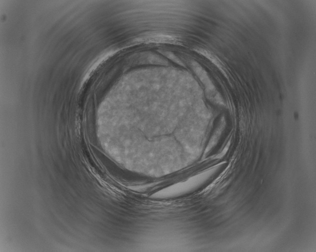 X0000067841115200605111635