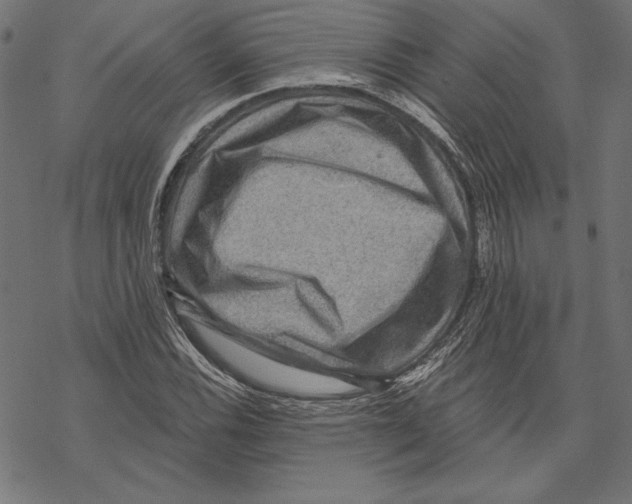 X0000067841116200605111635