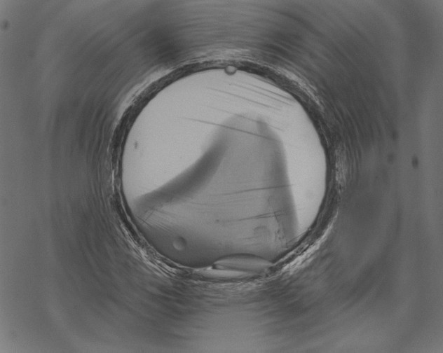 X0000067841117200605111635