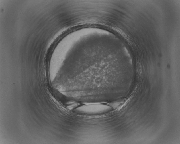 X0000067841118200605111635