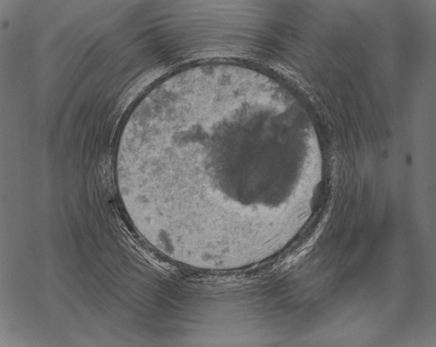 X0000067841121200605111635