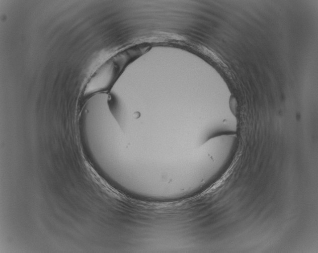 X0000067841122200605111635