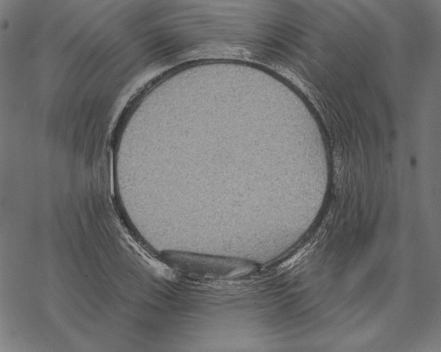 X0000067841123200605111635