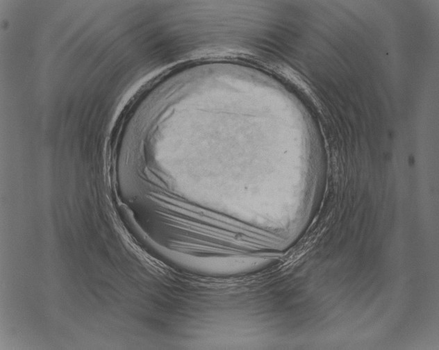 X0000067841124200605111635