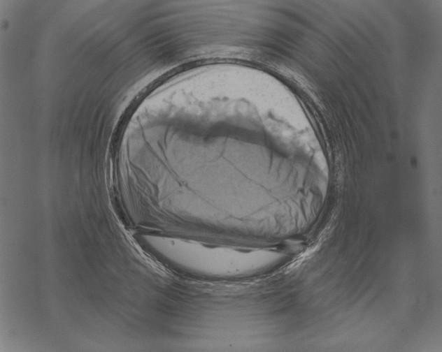 X0000067841125200605111635