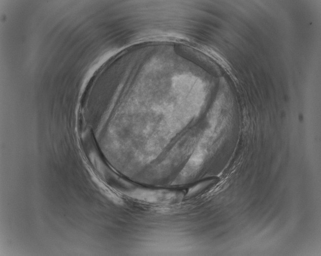 X0000067841128200605111636