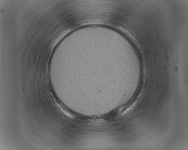 X0000067841129200605111636