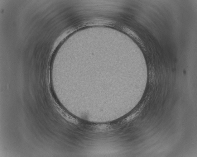 X0000067841130200605111636