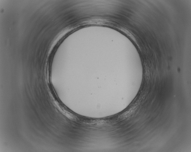 X0000067841131200605111636