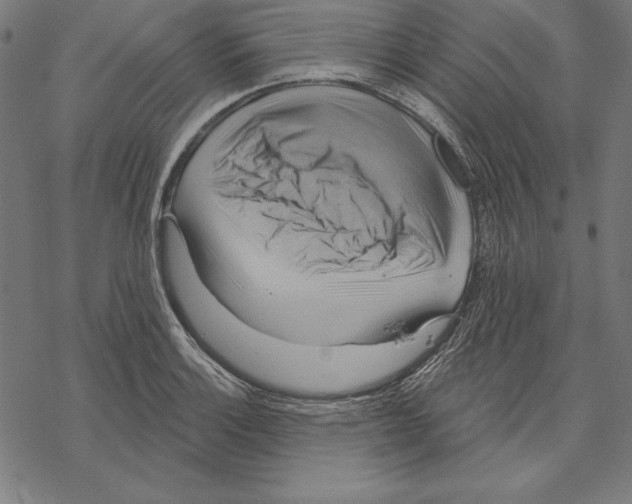 X0000067841132200605111636